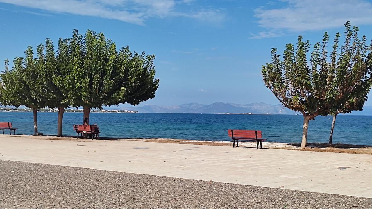 Apartmán Beautiful Choice - Near Athens Airport - 50M From The Sea - Iq+ Artemida  Exteriér fotografie